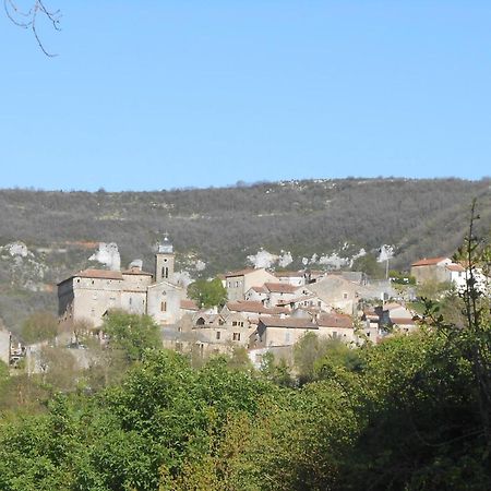 Maison Spacieuse Et Agreable Villa Saint-Georges-de-Luzencon Luaran gambar