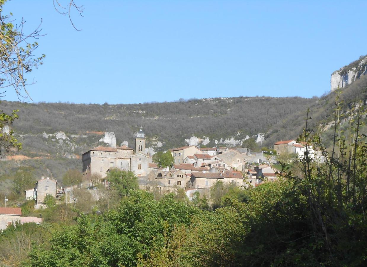 Maison Spacieuse Et Agreable Saint-Georges-de-Luzencon Luaran gambar